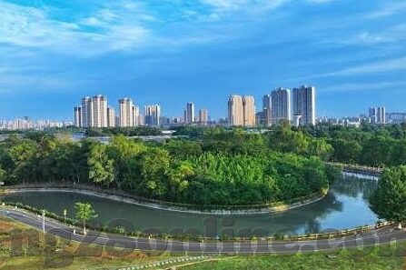 90vs语音比分即时足球比分-90VS语音比分，开启足球比分即时追踪新纪元